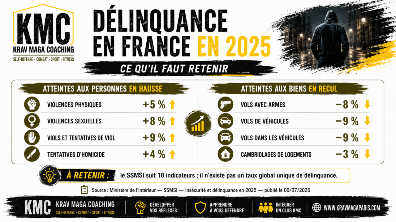 Délinquance en France 2025 Bilan