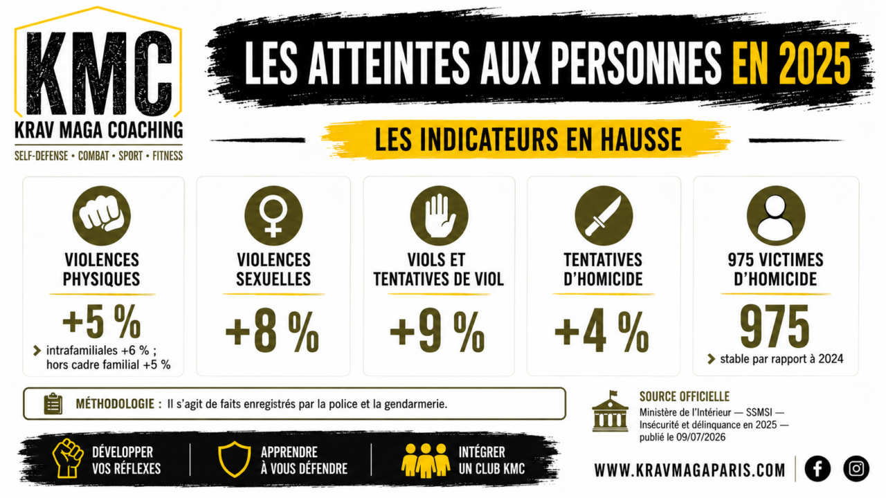 Délinquance en France 2025